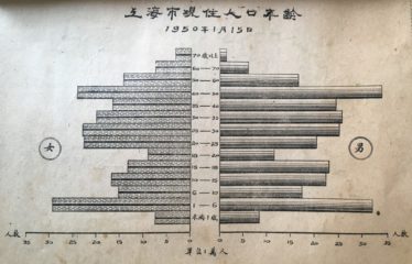 Age chart divided after sex