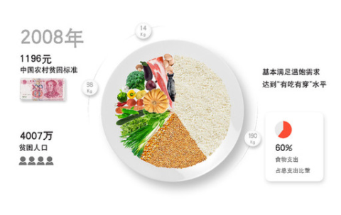 Depiction of plate with food corresponding to daily expenses in 2008