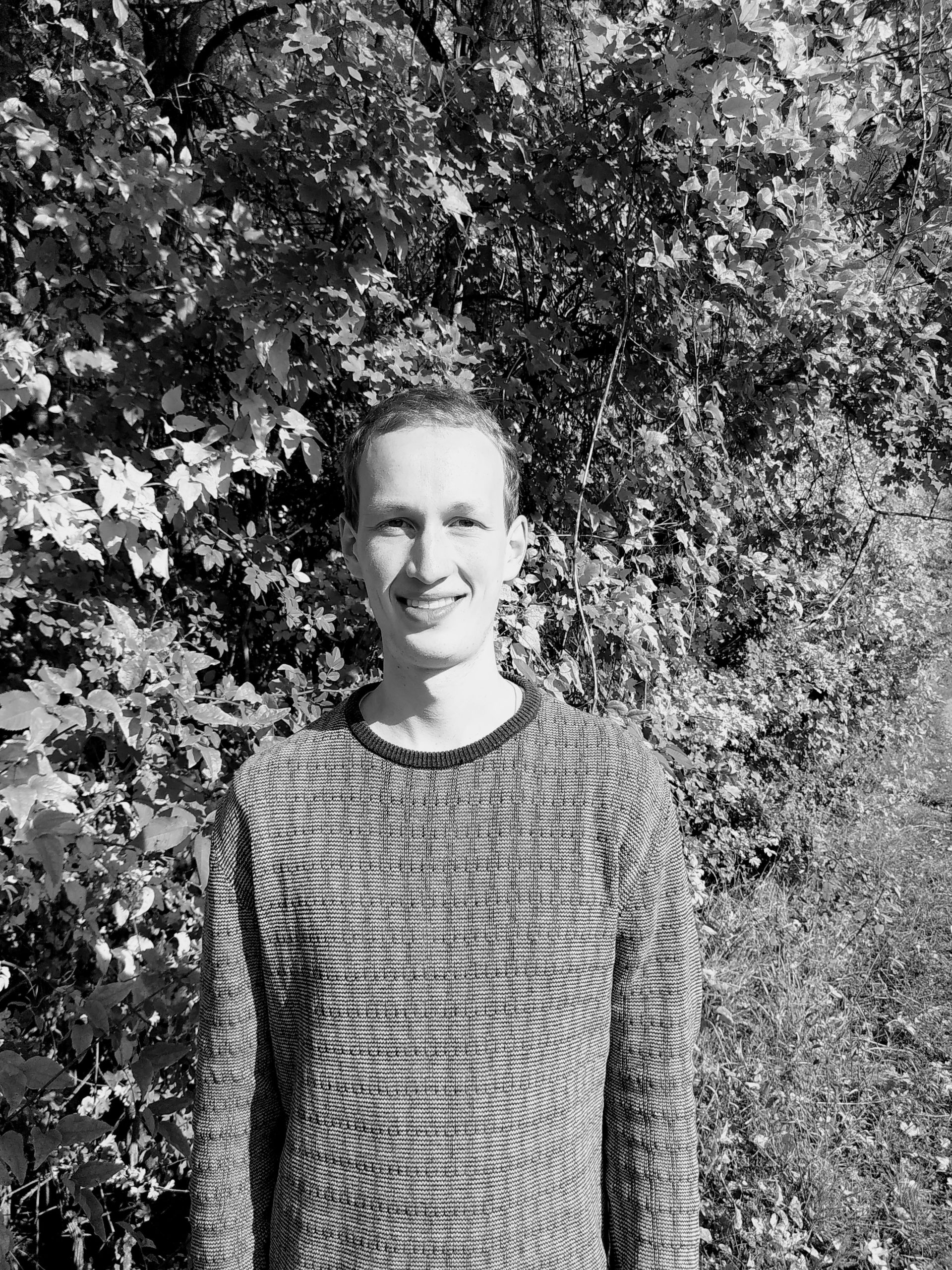 Florian Keßler Sinology Algorithms, Prediction, and Statistics